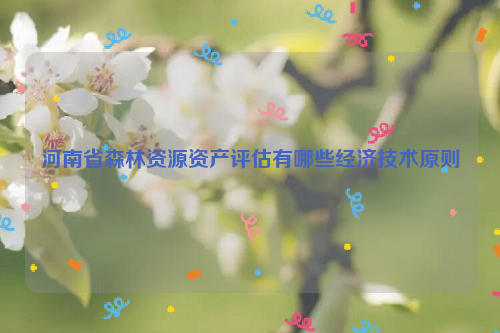 河南省森林資源資產(chǎn)評(píng)估有哪些經(jīng)濟(jì)技術(shù)原則