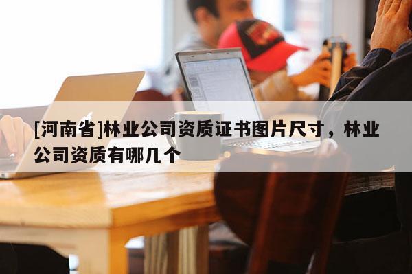 [河南省]林業(yè)公司資質(zhì)證書(shū)圖片尺寸，林業(yè)公司資質(zhì)有哪幾個(gè)